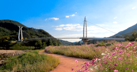 [사진] 대황강 출렁다리